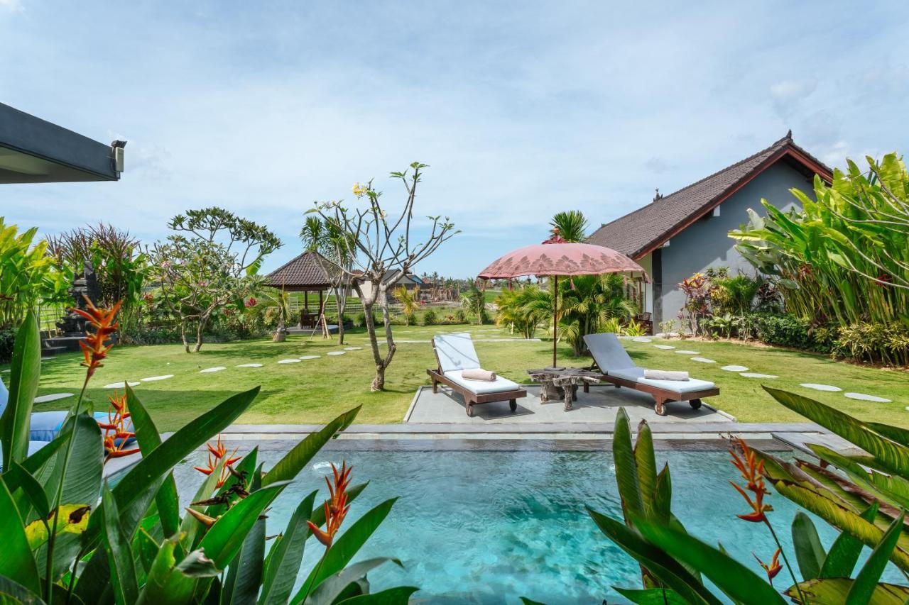 Carik Bali Guest House Canggu Ngoại thất bức ảnh